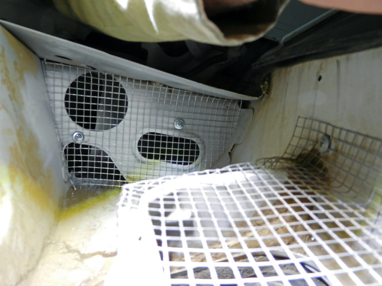 vent holes + screen.jpg