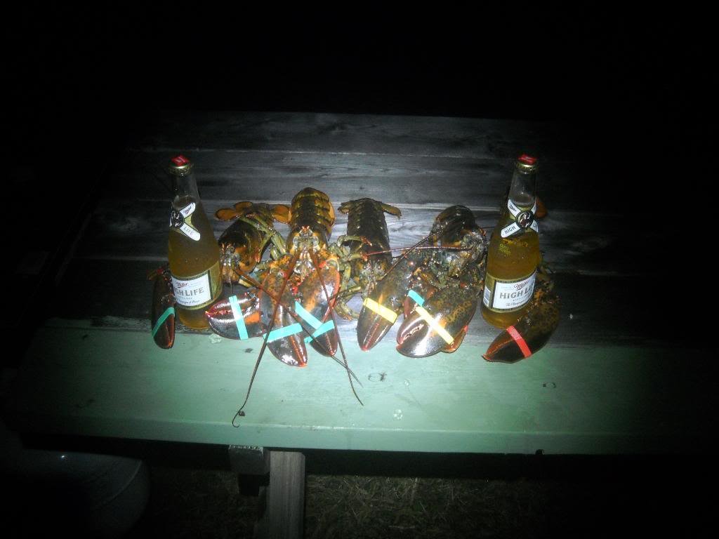 vermonster047_2ab7a04d55102f634134b93ba39c42b159831e4b.jpg