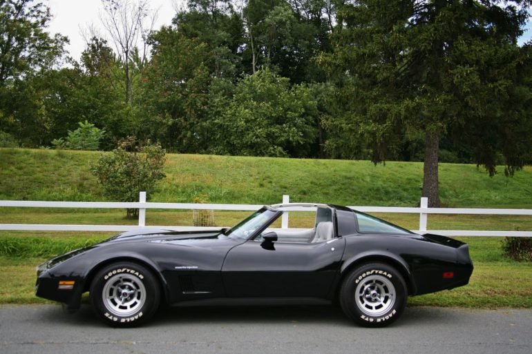 vette.jpg