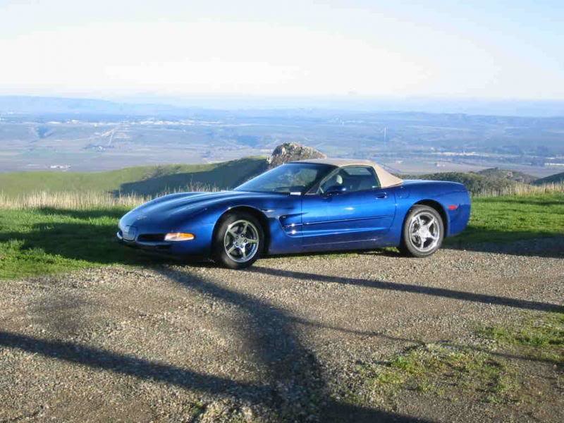 vette_zps0f8d80d3_5d59a66d4231323e6446a36b2c4013de50272f5b.jpg
