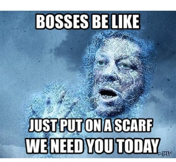 VIBE-Vixen-Cold-Weather-Meme-71-600x553.jpg