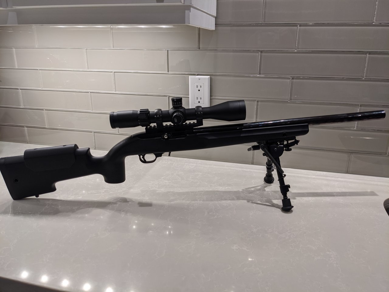 VictorCo Ruger.jpg