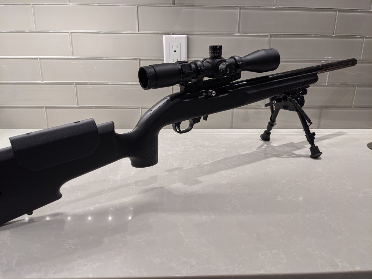 VictorRuger 1022.jpg