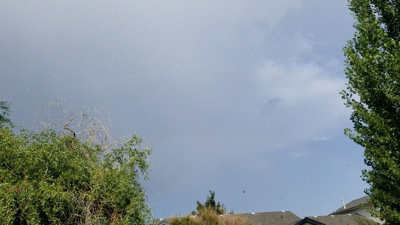 VideoCapture_20190713-191609.jpg