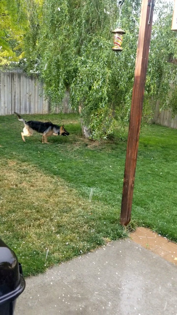 VideoCapture_20190713-191633.jpg