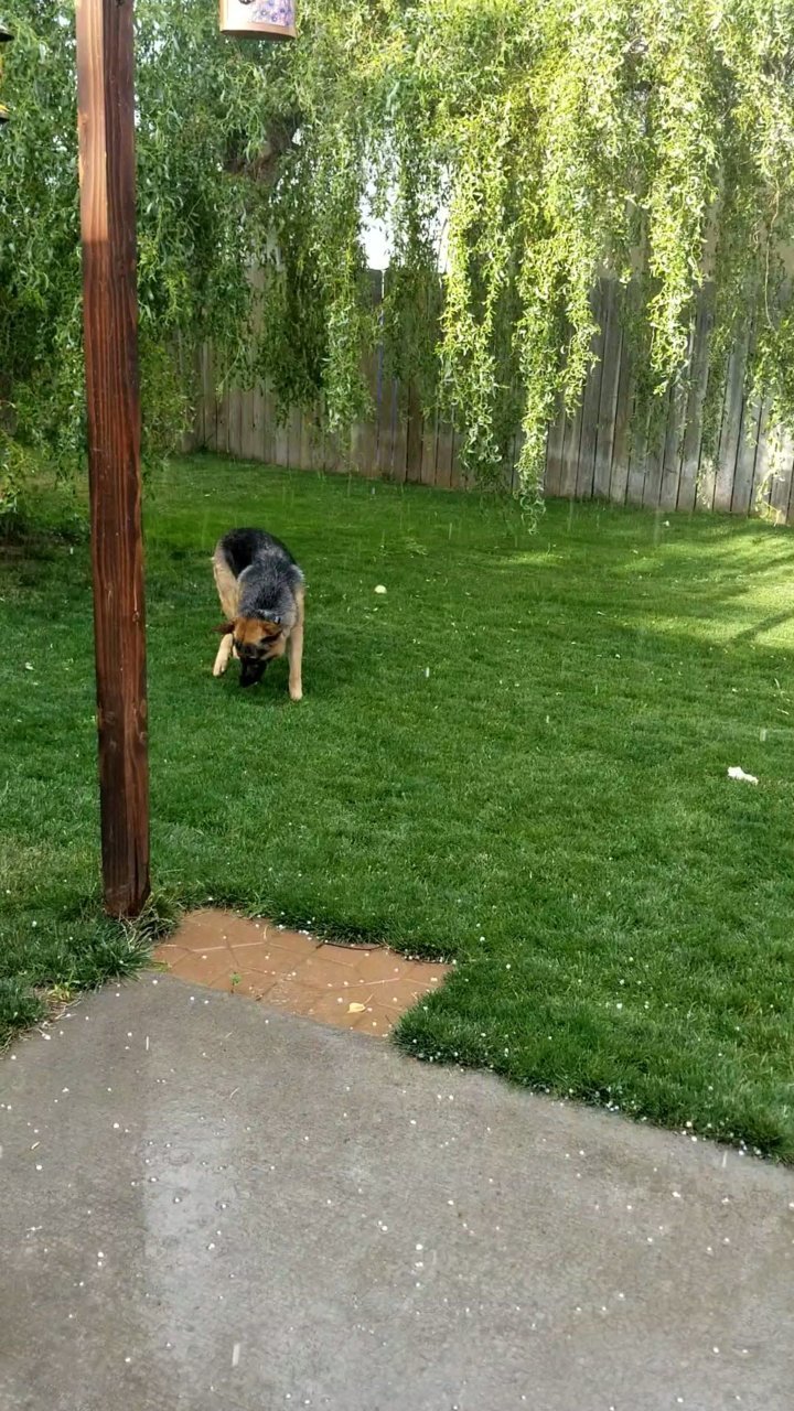 VideoCapture_20190713-191635.jpg