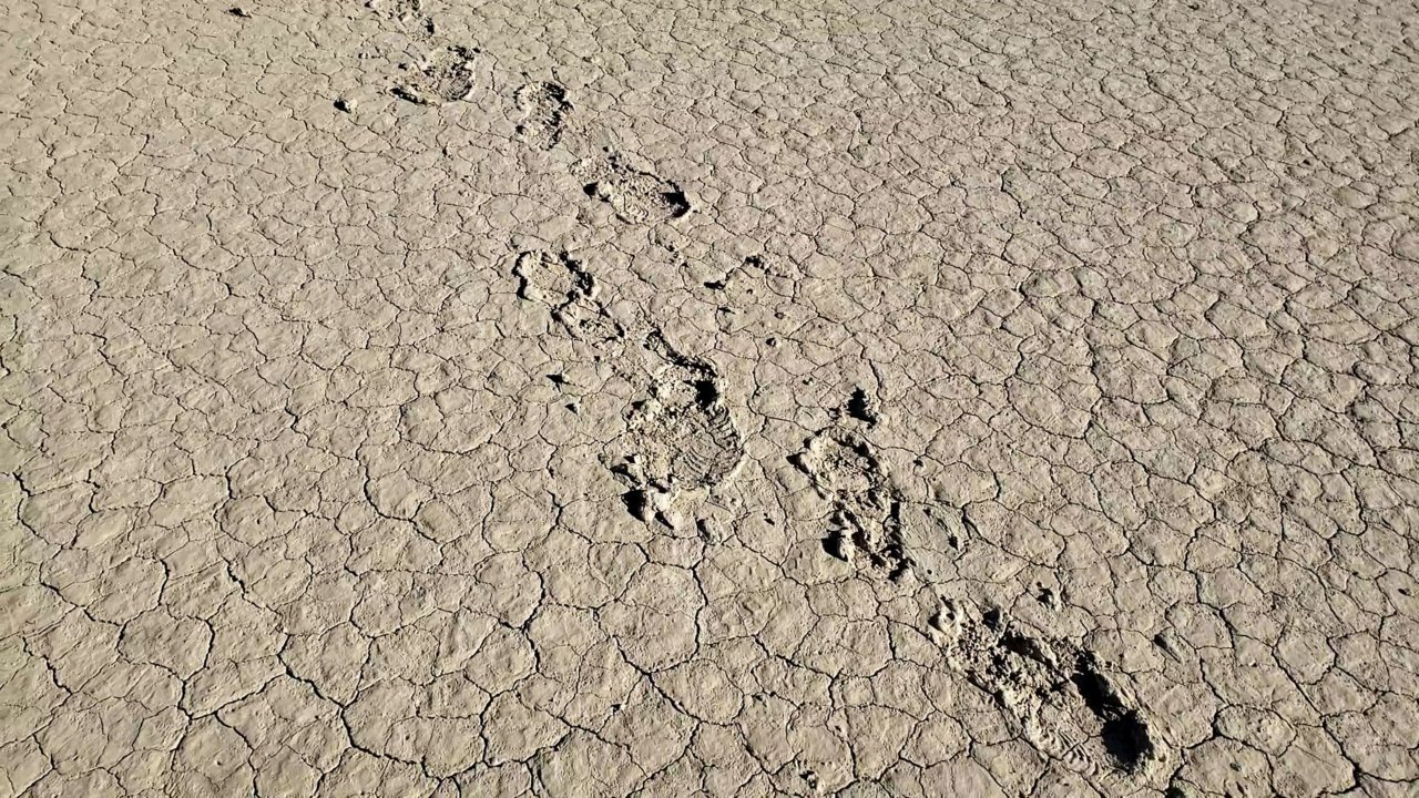 VideoCapture_20200217-172037.jpg