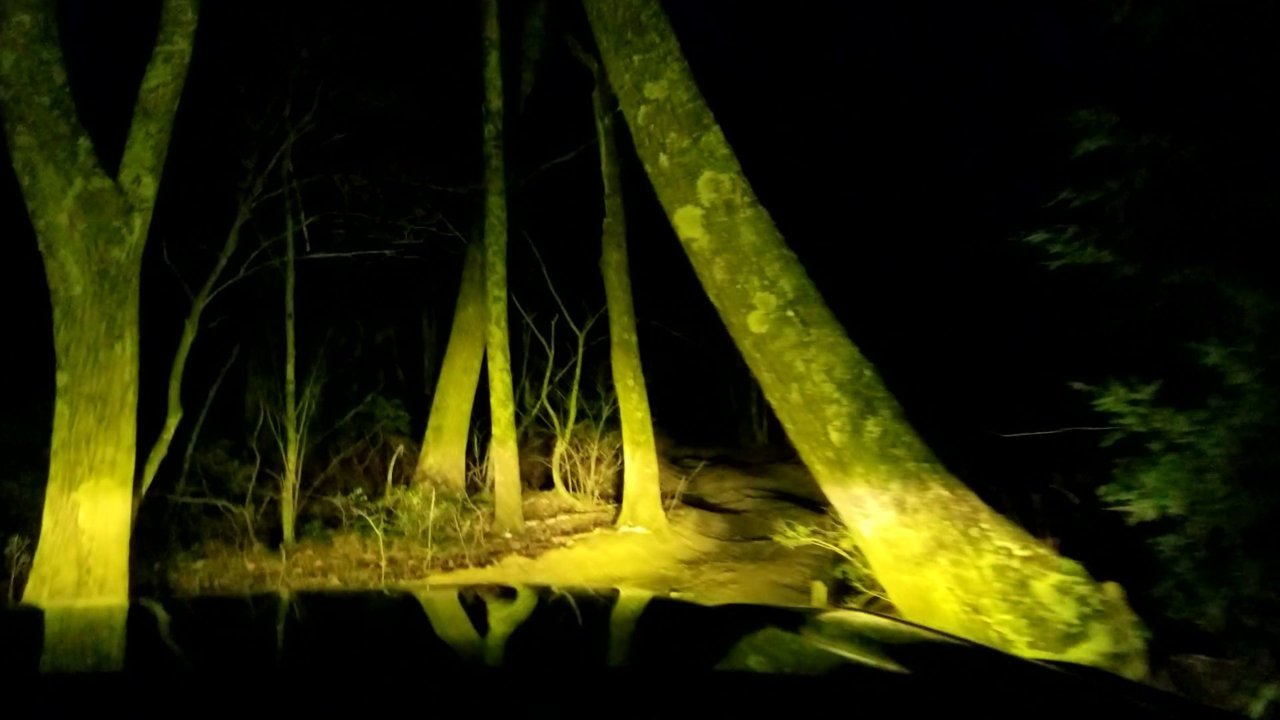 VideoCapture_20200308-034821.jpg