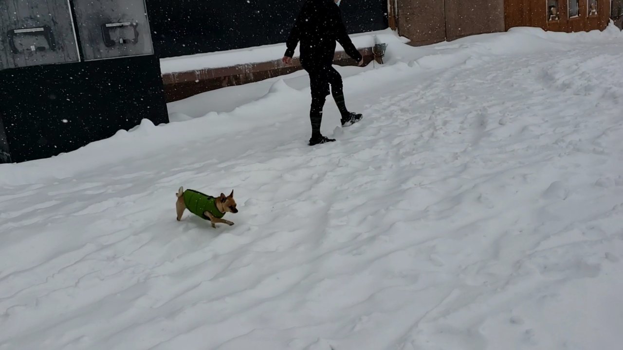 VideoCapture_20201213-165401.jpg