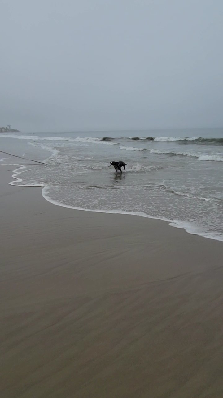 VideoCapture_20210917-191310.jpg