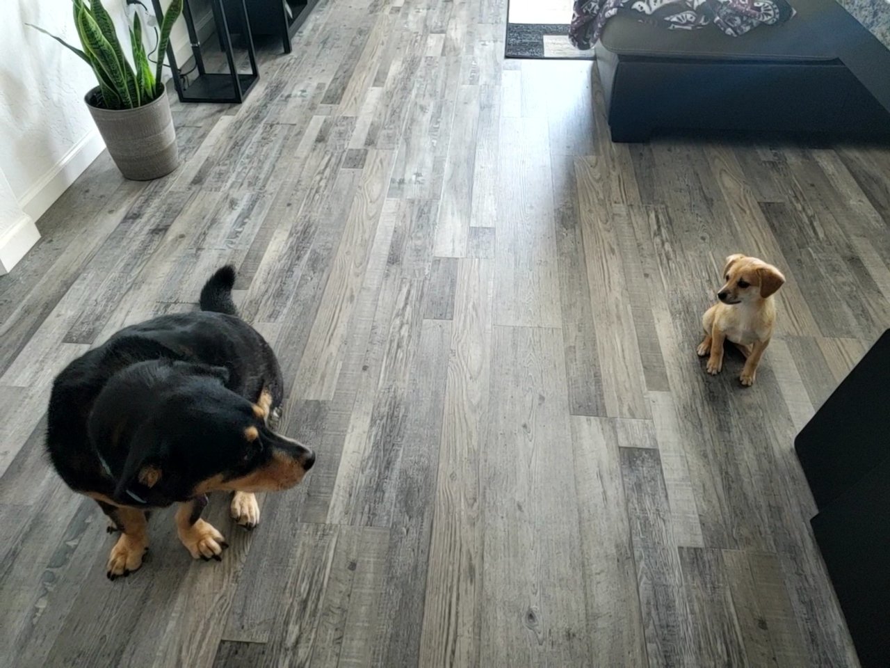 VideoCapture_20220524-162534.jpg