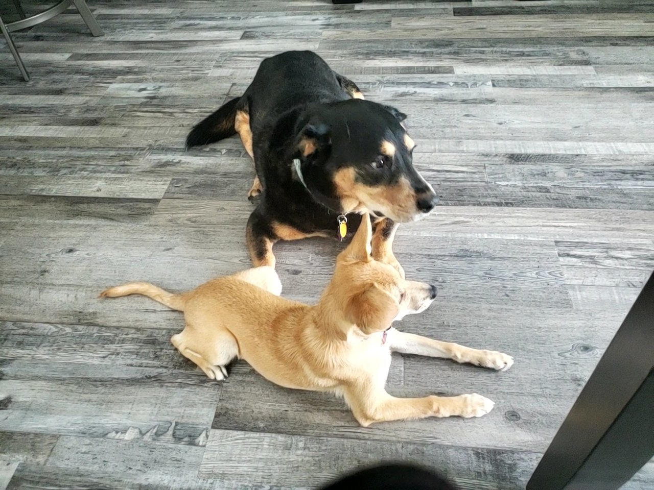 VideoCapture_20220731-074956.jpg