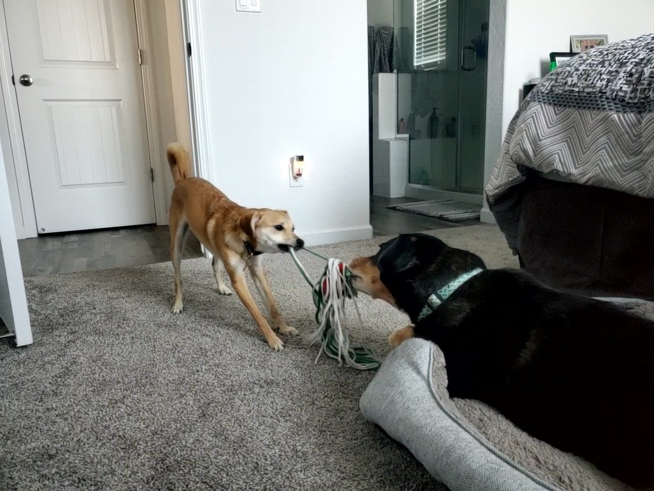 VideoCapture_20221213-152614.jpg