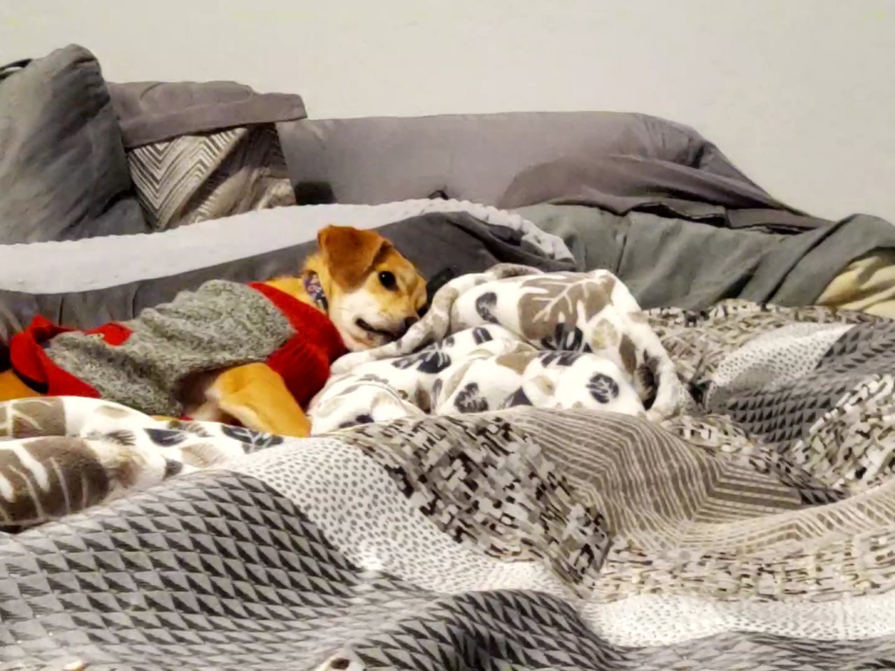 VideoCapture_20221213-210950.jpg