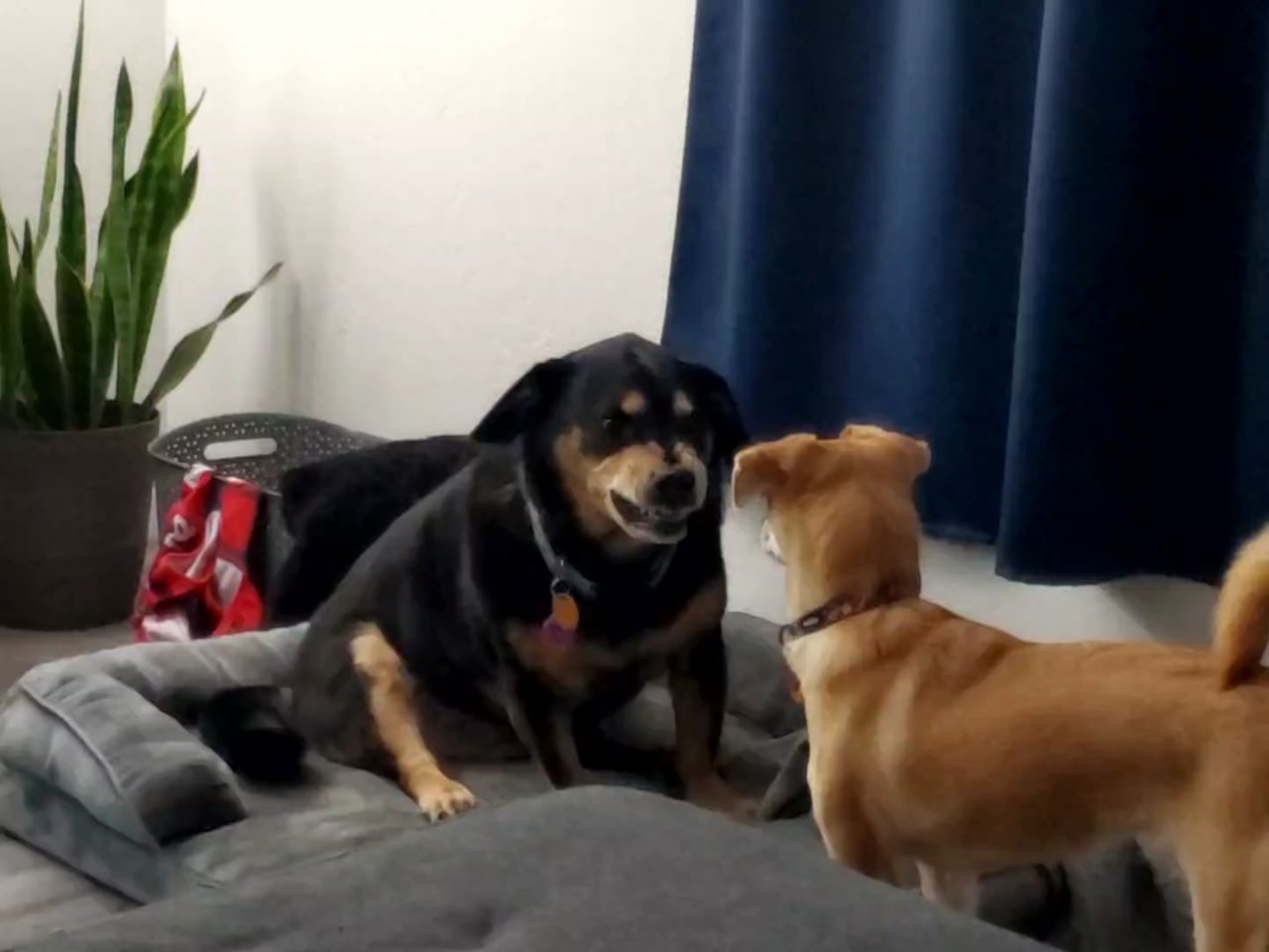 VideoCapture_20221229-091101.jpg