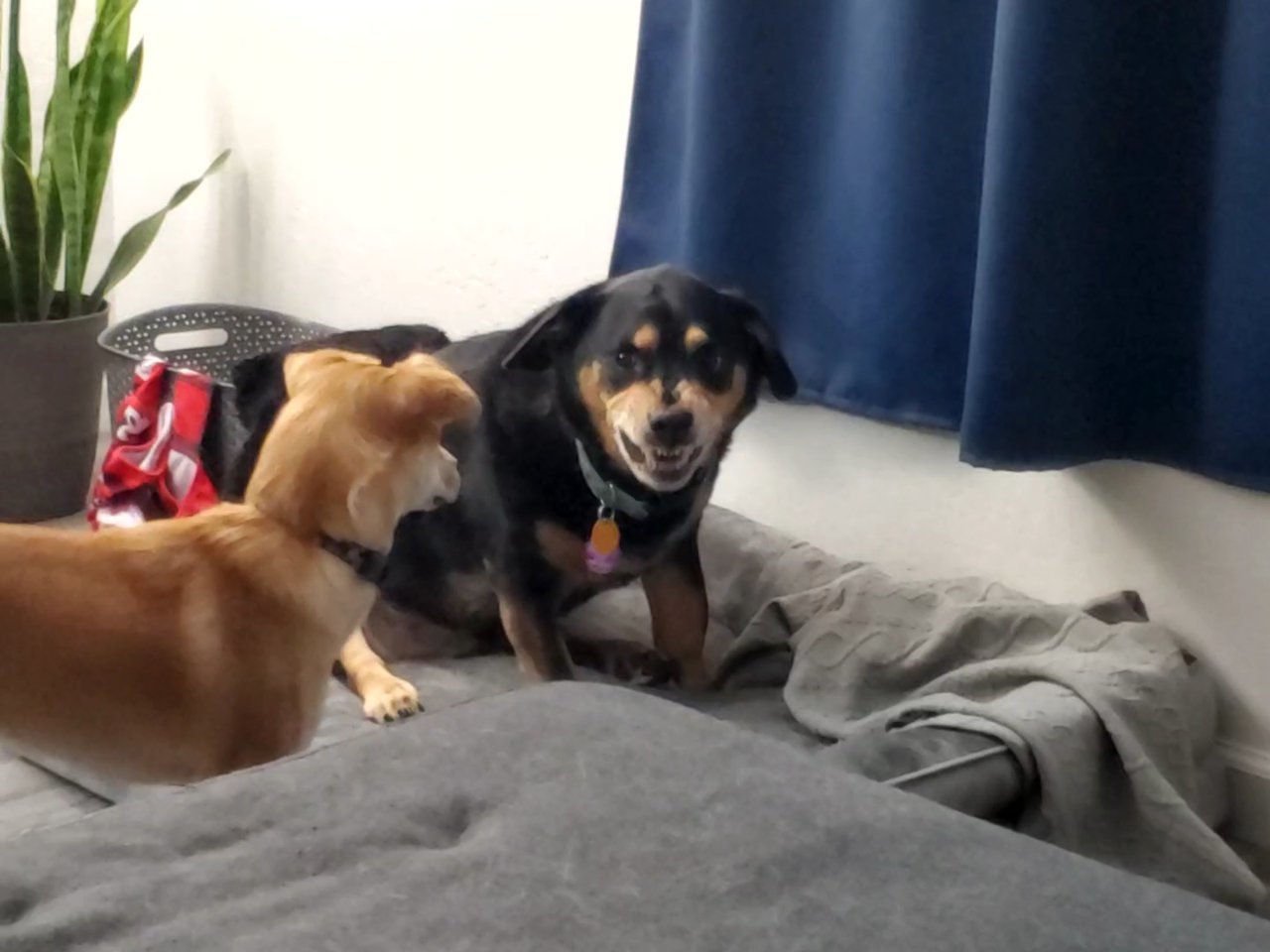 VideoCapture_20221229-091116.jpg