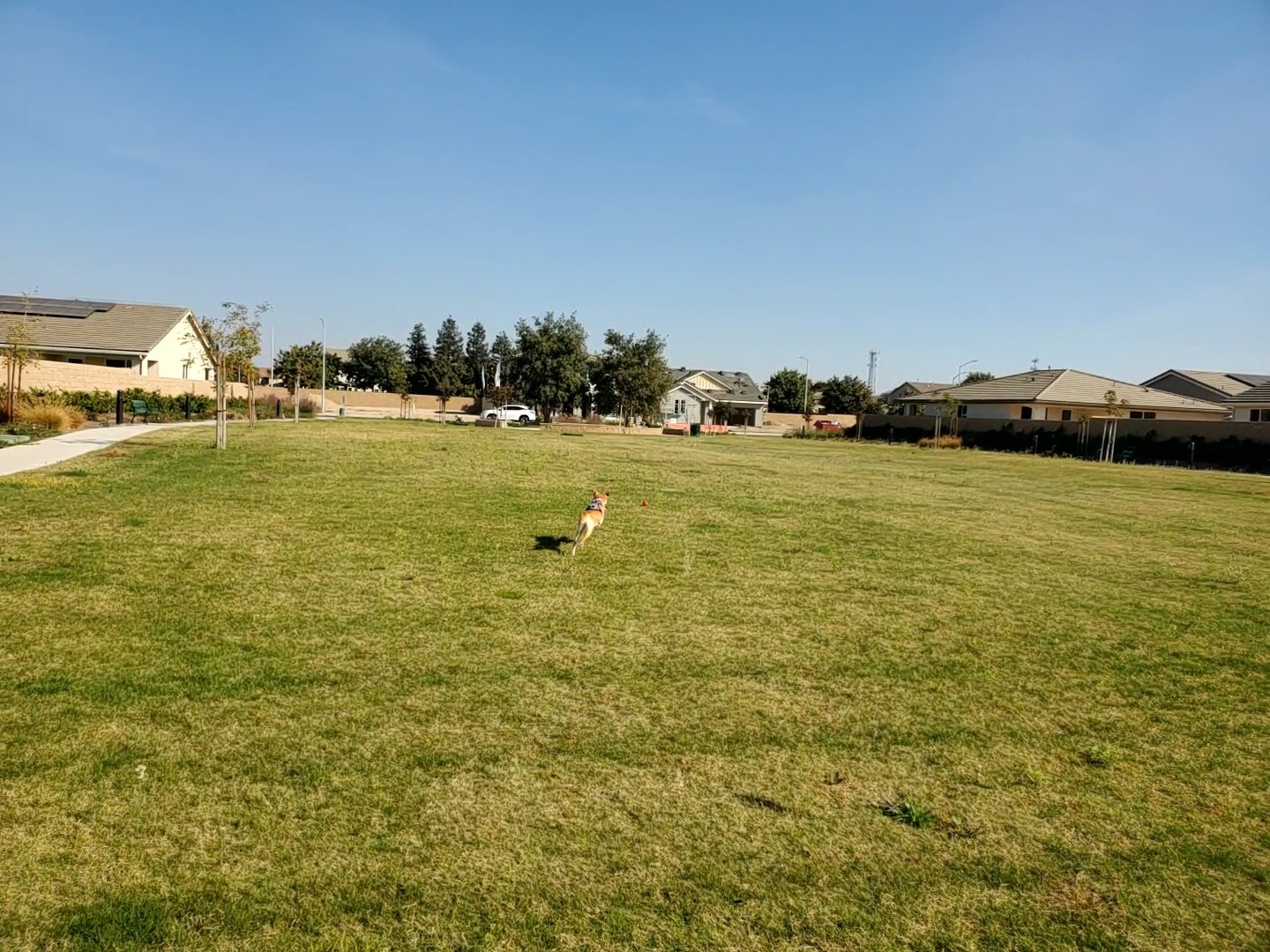 VideoCapture_20231024-145422.jpg