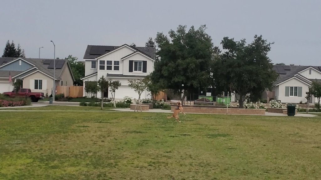 VideoCapture_20250424-165202.jpg