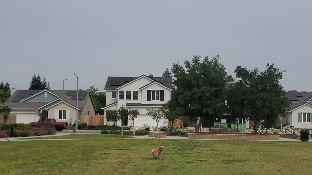 VideoCapture_20250424-165212.jpg