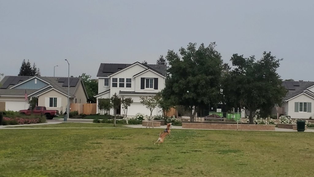 VideoCapture_20250424-165220.jpg