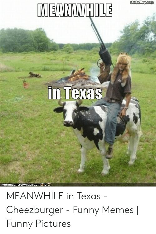 vieanwhile-in-texas-canhas-cheezburger-com-meanwhile-in-texas-53107549.jpg