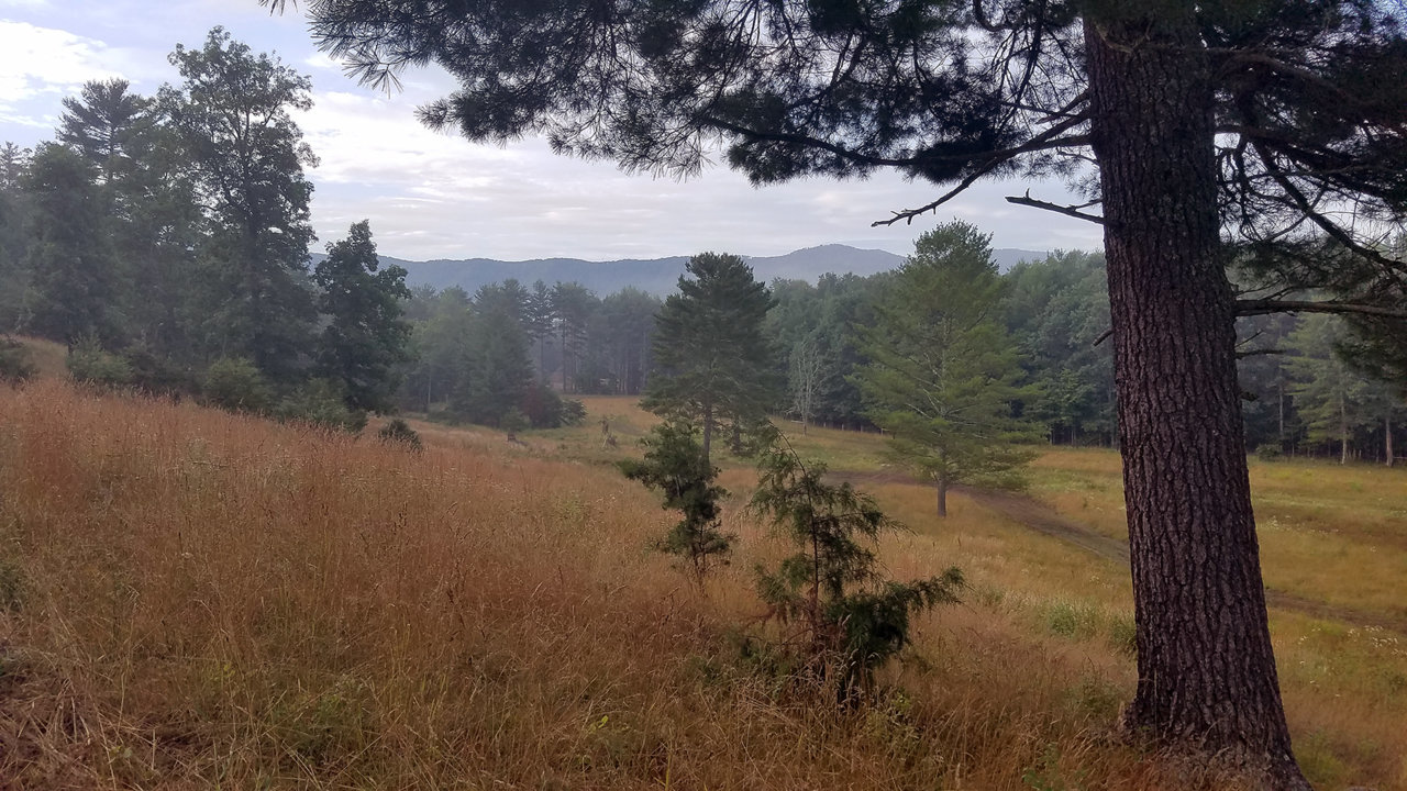 view.jpg