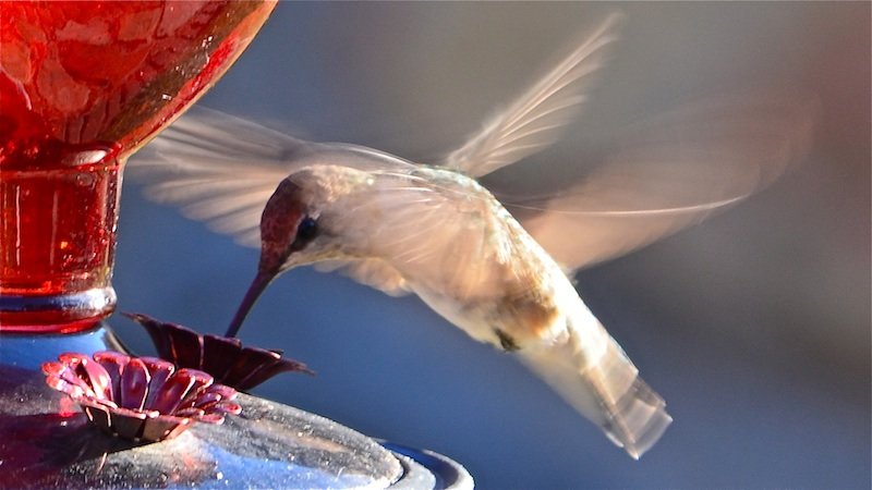 viewFile_e0b6b22464480a15e2666f2c6647f4177648c04f.jpg