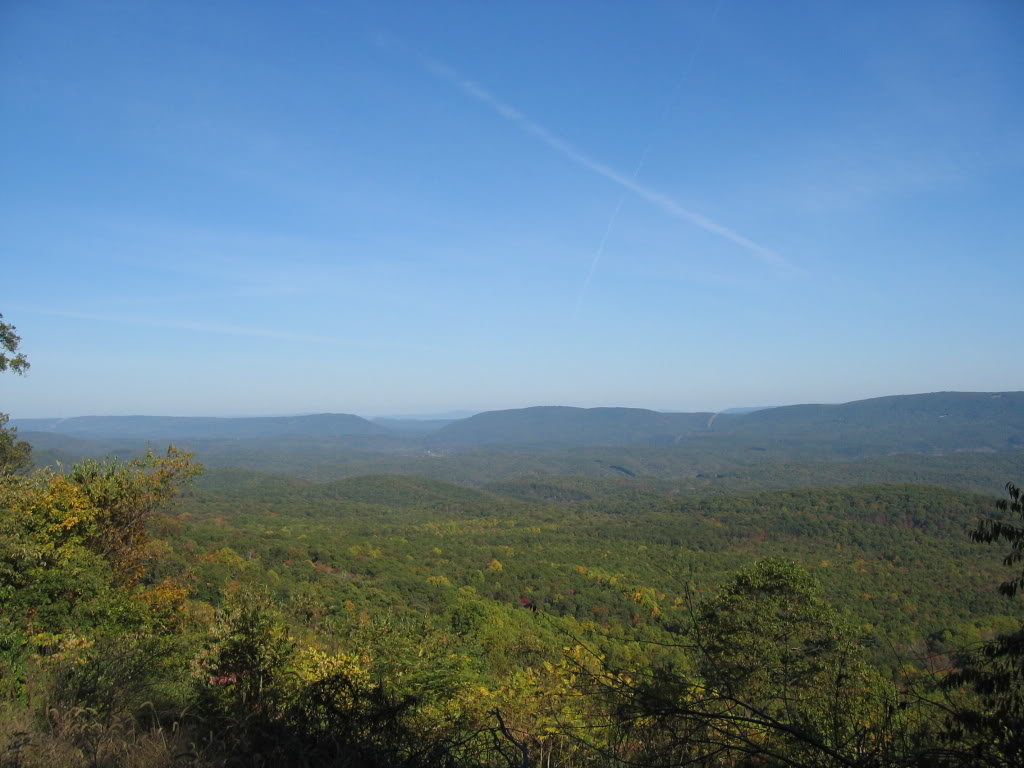ViewFromtheTop_d0452cadf3aad2092ce5899207f5e1db81bacbea.jpg