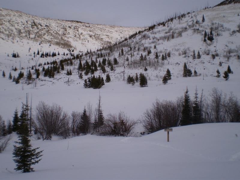 viewoutthefrontdoor_zps2fda22f2_d4305d624b626216c9cf481aece727b10adb139b.jpg