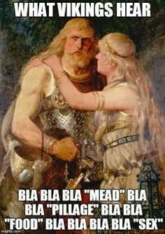 vikings.jpg