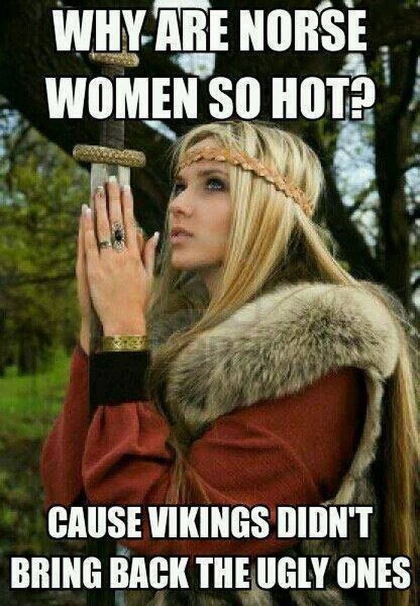 vikings1.jpg