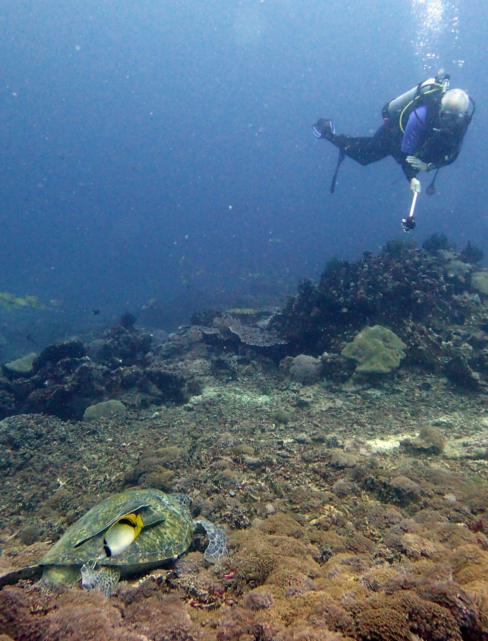 Vila Ombak Divers (2).jpg