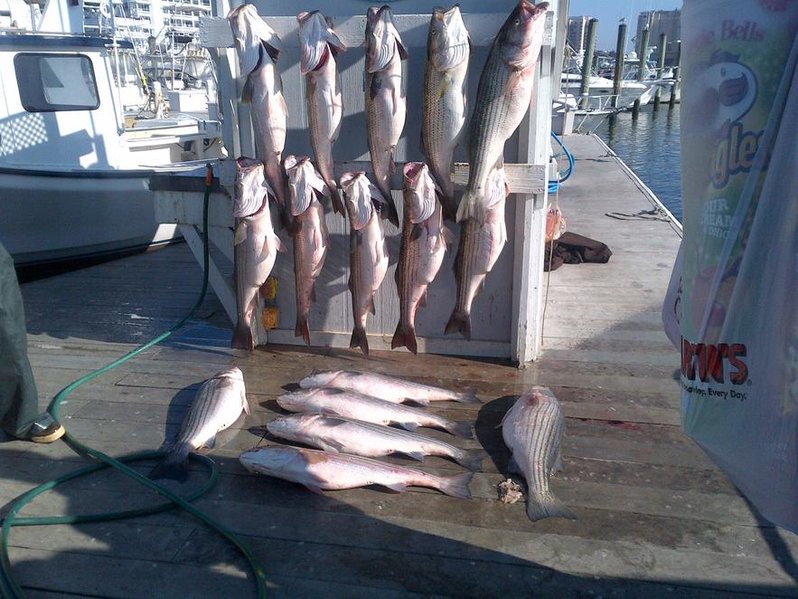 Virginia Beach-20120110-00099.jpg