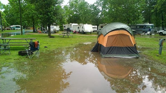virginia-beach-koa.jpg
