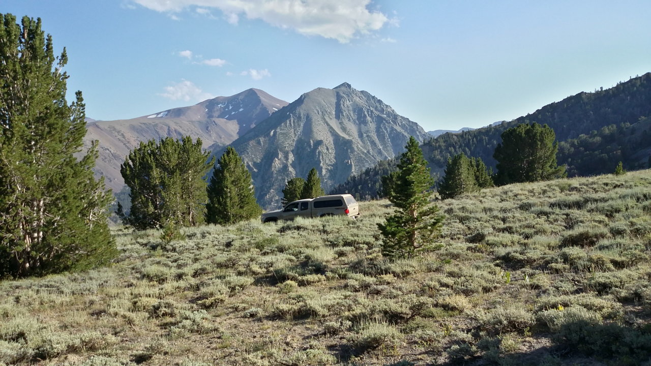 Virginia Creek, CA 2017.jpg