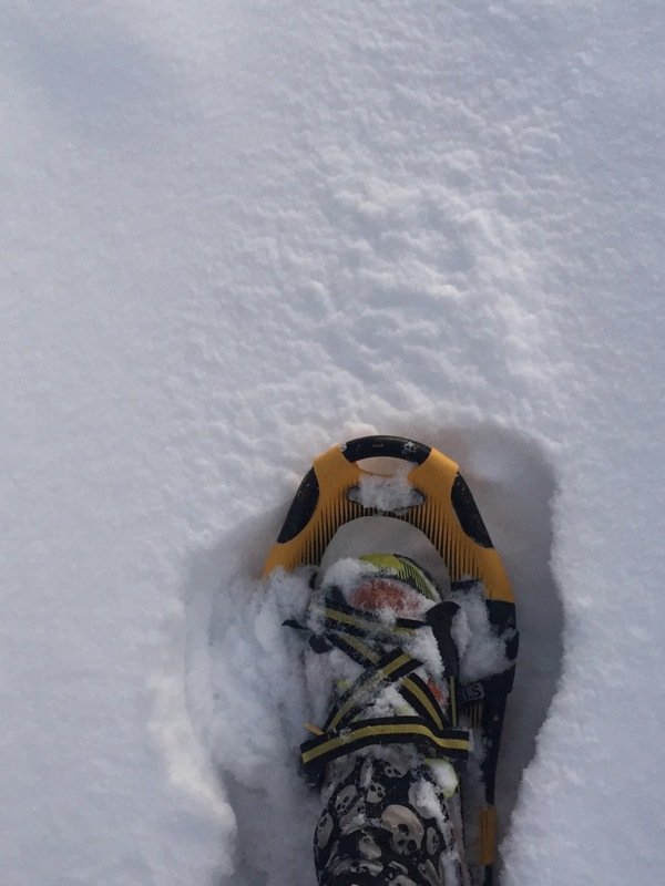 virginsnow_zpshfx4ihae_c3ca5033effb85748d607a6cef9f6afbc49a1fd5.jpg