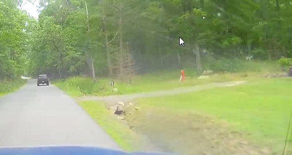 vlc_2019-06-17_22-01-55.jpg