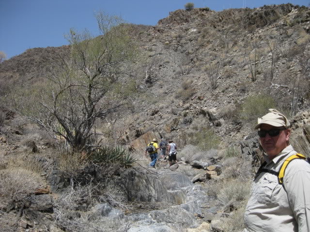 Volcan176_2d21c2a694bde3f53c0adf1742db480f00de9683.jpg
