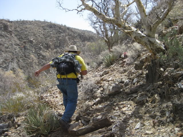 Volcan181_b50cc07ab2f75213a913e362f40850cd8868f298.jpg
