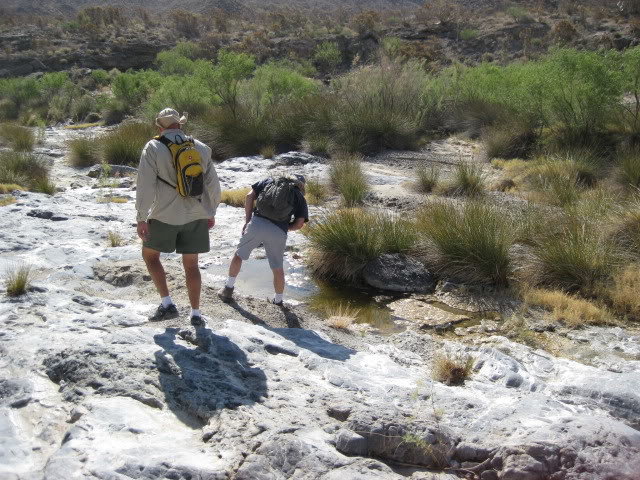Volcan2011038_b9fa845d2ad3041033f49471b0b6770bee2862b0.jpg