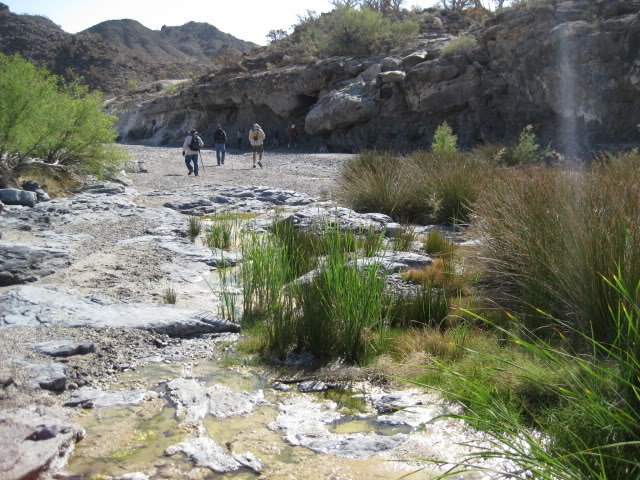 Volcan2011039_7f26d25626ec92bd8d2f6bbb6062cbd54101752b.jpg