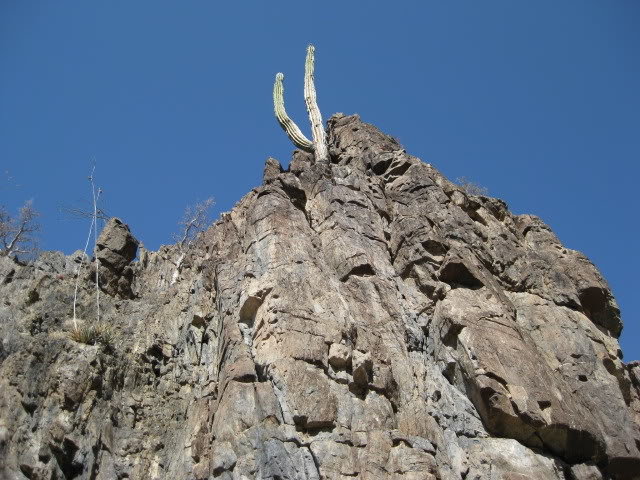 Volcan2011051_cb8e6e2a5a1dfa438bb0caa42d5e95ddcded1088.jpg