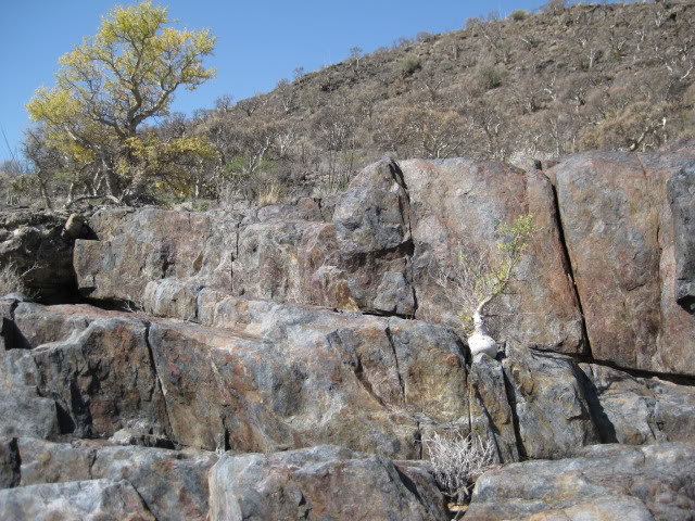 Volcan2011054_a7fe0ccafabc57c87ce5cea25452a3a31bf08d36.jpg