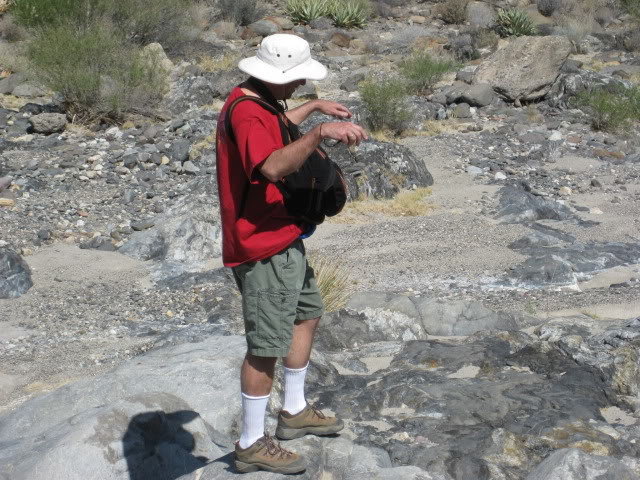 Volcan2011057_f9dee3606635d8f55ad7fb77edb27c39b6add728.jpg