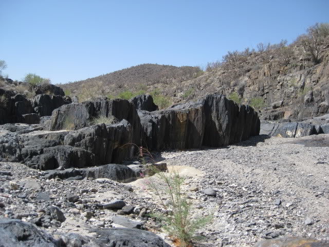 Volcan2011064_a42e02ef6098c484549d1b9dd03c5a69ad3e7a66.jpg