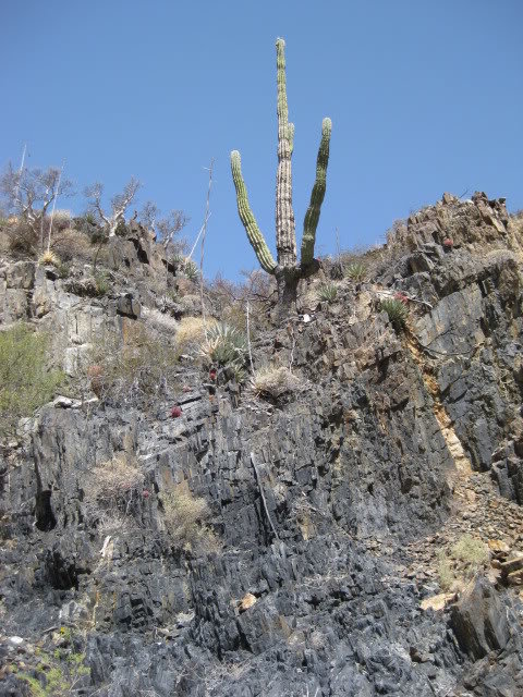 Volcan2011067_30c717362e51fa8fe6cad8d3fa78eec09366b641.jpg