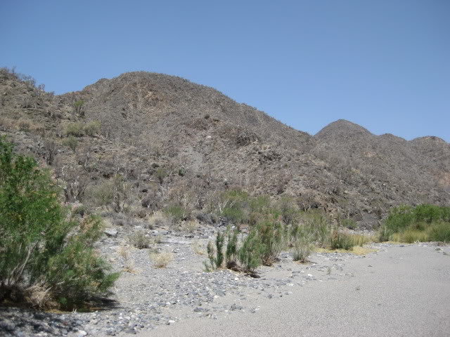Volcan2011069_72903f67b4751953423a2c7f78e5bf0cfecc687e.jpg