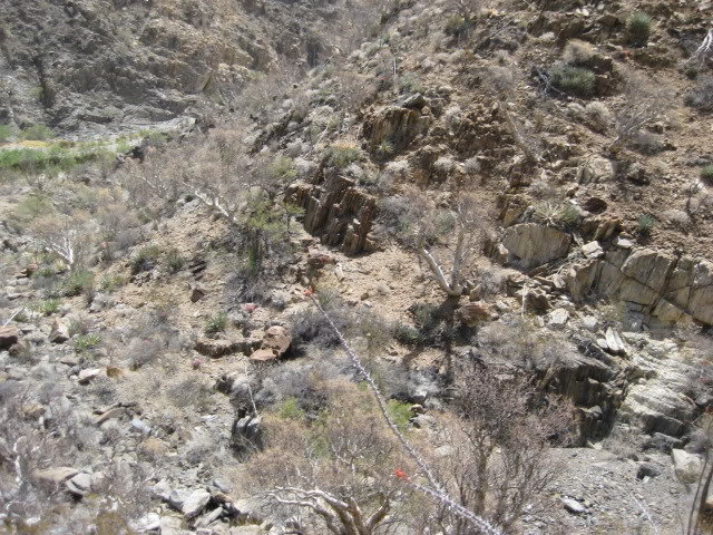 Volcan2011080_6df6bd424f979893be6f4b213b80112c6bb4a499.jpg