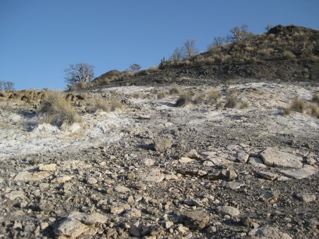 Volcan2011151_8aefe7ebb094d0a048235b8a400c1fca23b72656.jpg