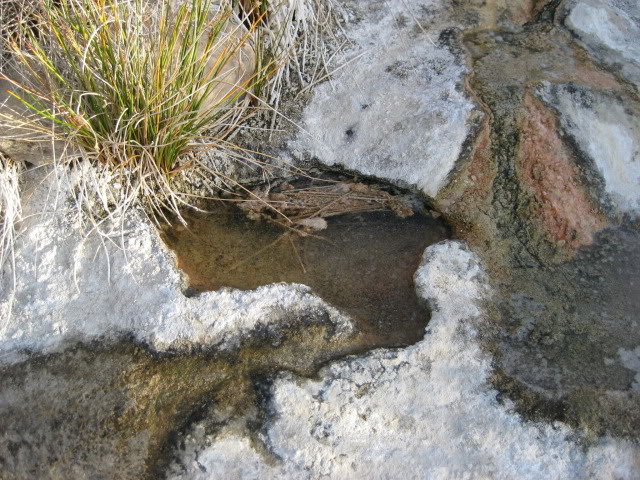 Volcan2011154_a0c1ac30dafa1dcc602298b34f5d3b97ce7b02df.jpg